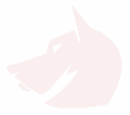 Krashdog.com